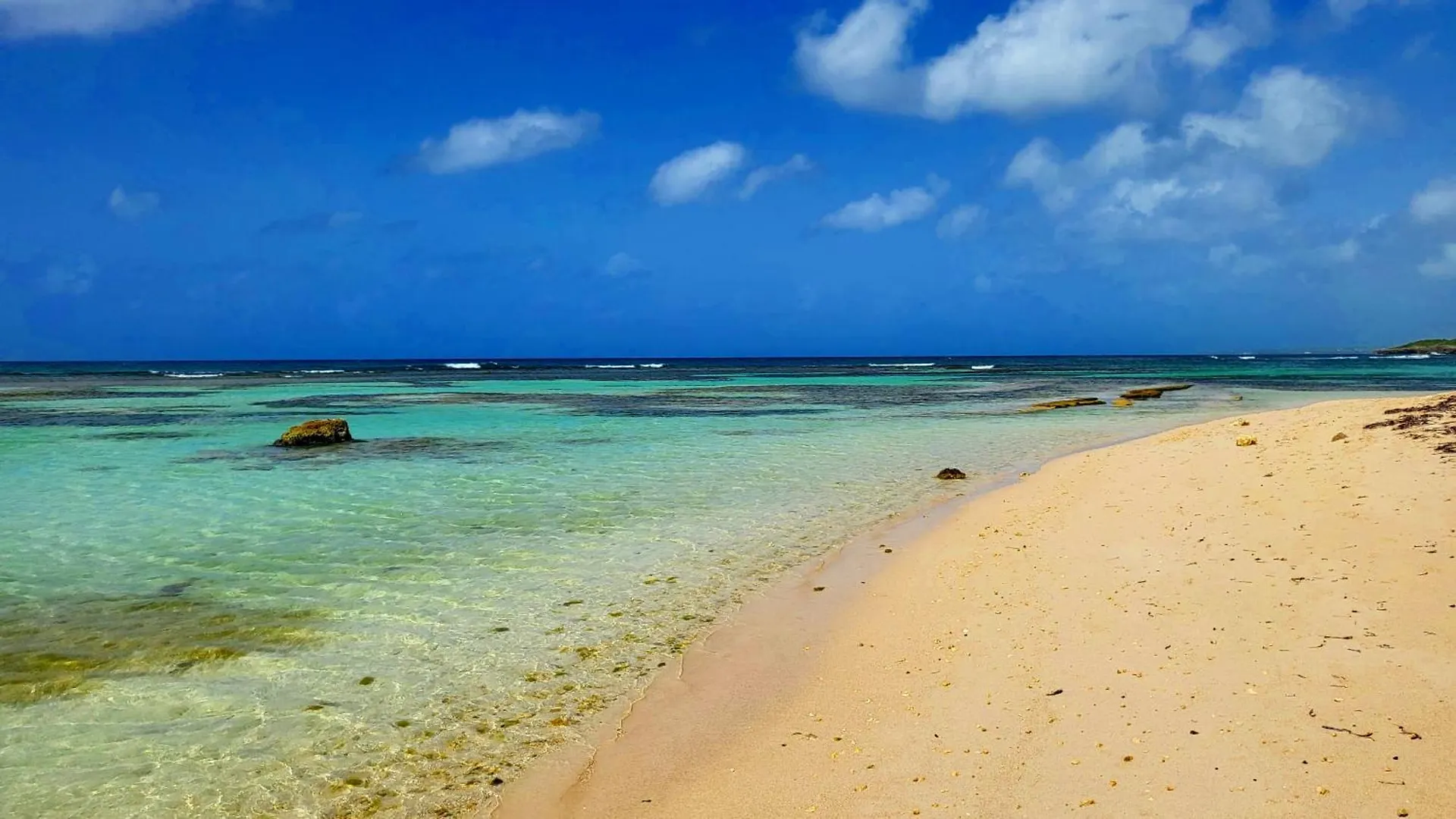 Kaz Loriké - Vue mer / piscine exceptionnelle - Saint François 0*, Saint-Francois (Grande-Terre)