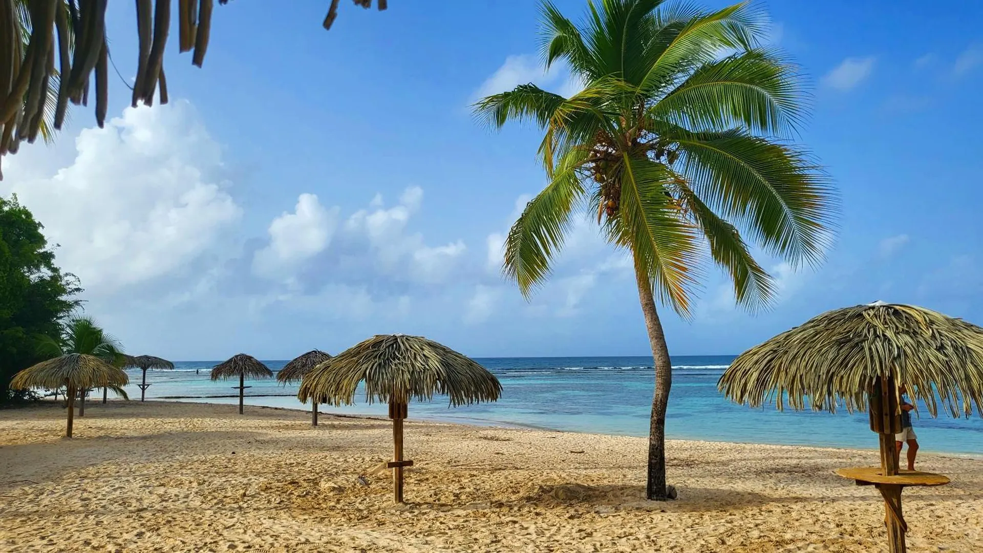 Kaz Loriké - Vue mer / piscine exceptionnelle - Saint François Appartement